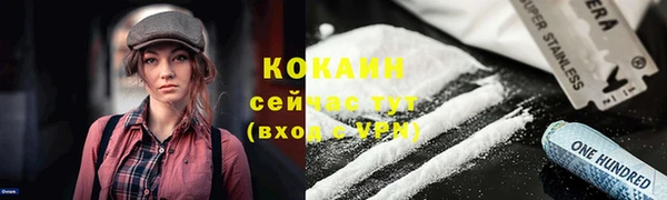 гашик Алзамай