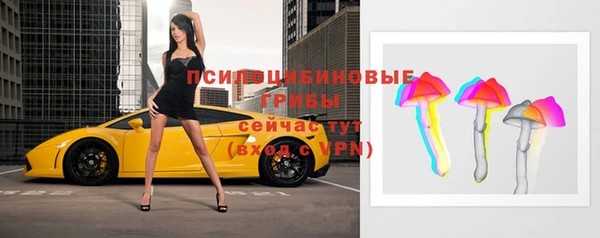 прущие грибы Алексин