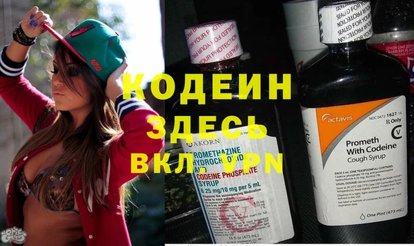 прущие грибы Алексин