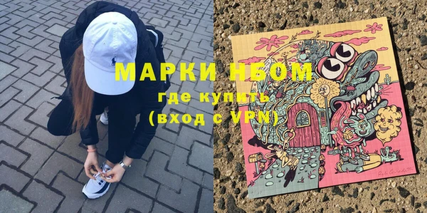 прущие грибы Алексин