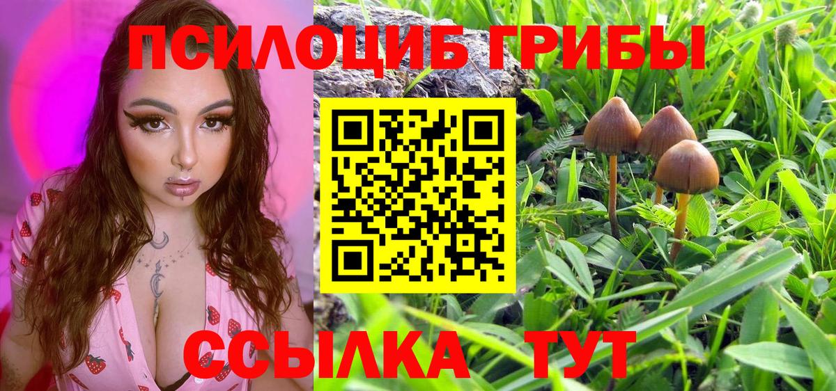 Лысьва  Псилоцибиновые грибы мухоморы  Вход с VPN 